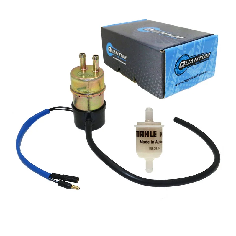 QUANTUM FRAME-MOUNTED ELECTRIC FUEL PUMP W/ FILTER